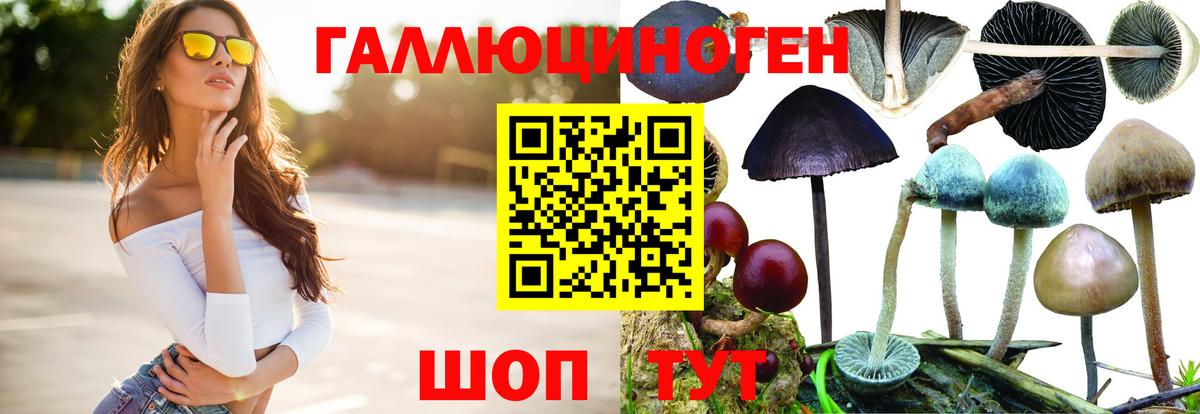 Галлюциногенные грибы Cubensis Саранск